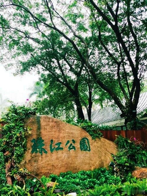 在天河CBD邂逅绿意，逛公园真的太治愈了！一场沉浸式自然疗愈之旅于珠江...