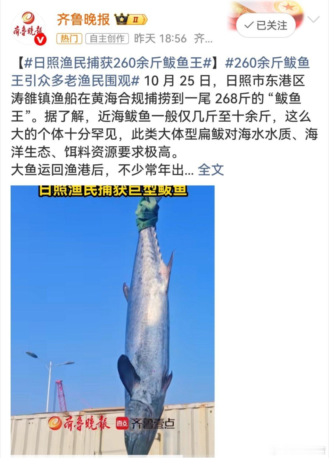 【260余斤鲅鱼王应放生】虽然捕捉程序合规，但是，生长这么大的确不容易，还是希望放生，让它继续生存。一是保护海洋物种，维护生态平衡。二是万物皆有灵性，不能就这样被人类白白的吃掉，也许它还会创造奇迹。#日照渔民捕获260余斤鲅鱼王# ​