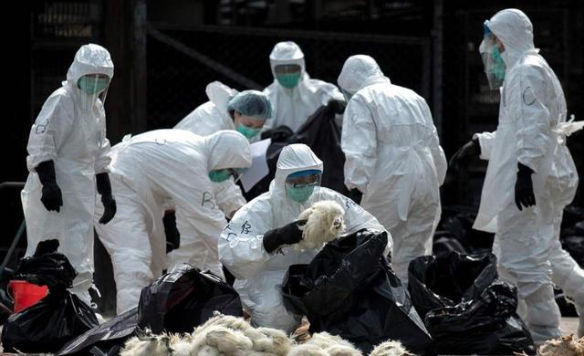 多名医生研究发现：一针新冠疫苗都没打的人，真实现状揭秘！
 
不少医护人员长期跟踪观察后发现，自疫情放开至今，全程没有接种过一针新冠疫苗的人群，身体状况和恢复情况，出现了非常明显的两极分化，真实现状和大众想象完全不一样。
 
生活里总能听到很多声音，有人说不打疫苗体质更好，感染后恢复更快。也有人说没