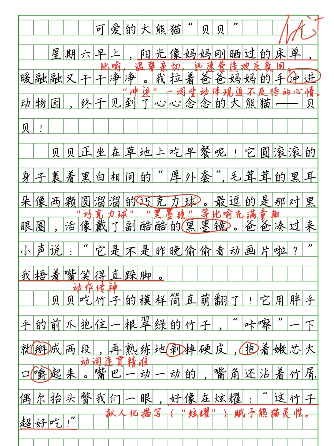 🔥五上第五单元习作批改《介绍一种事物》