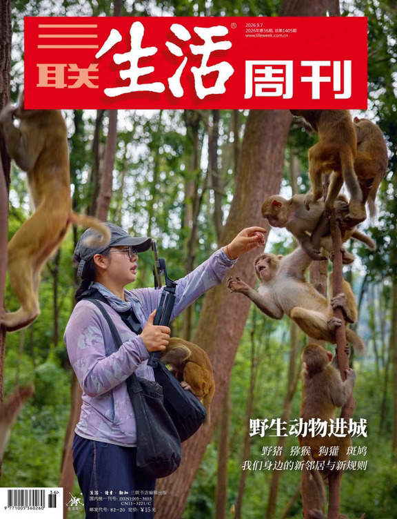 你有没有发现，城市里的野生动物变多了？