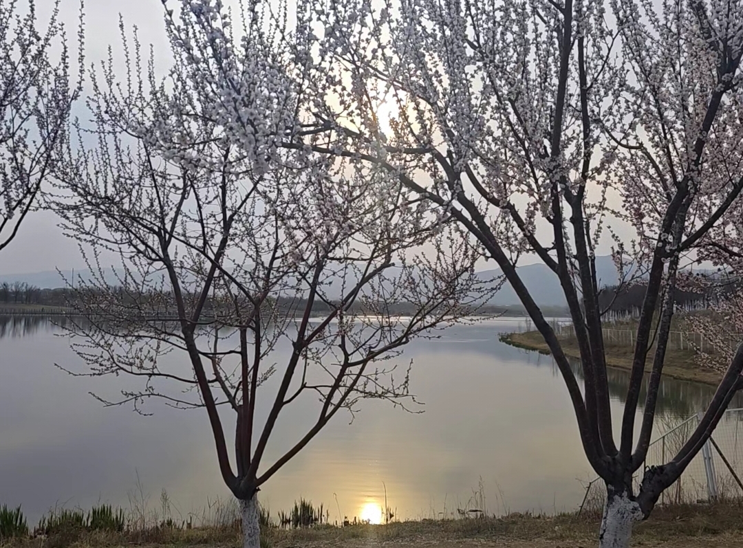 早上在食堂就餐时闲聊，一位同事感慨：太原空气质量好不好，他就是一块最直观的“试金