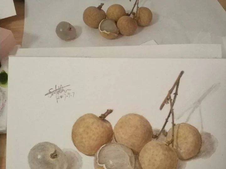 水彩桂圆/龙眼 我喜欢吃桂圆，也喜欢这张画。