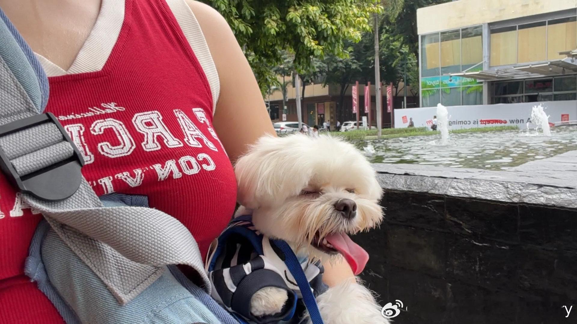 快乐的单身带娃日🐶  ​