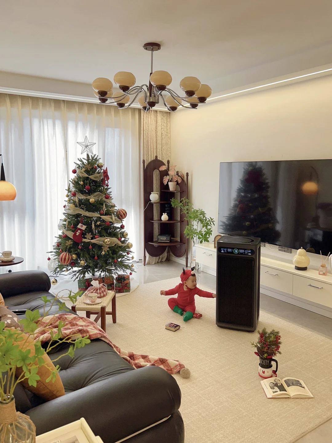 可以恭喜我下吗，北京有家啦，空气清润沁脾❤️