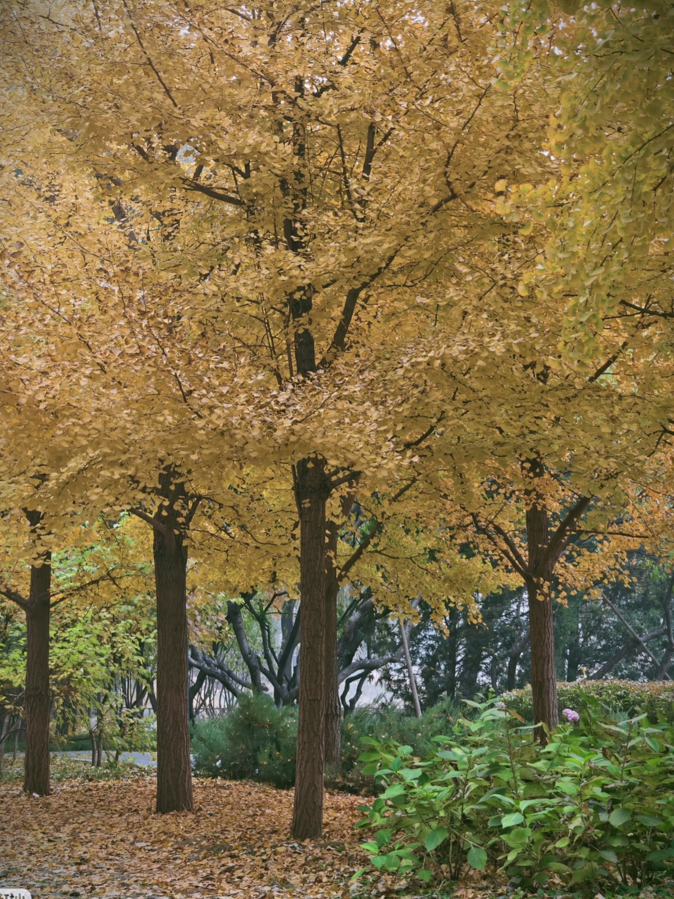 夫妻吵架的真相:原来是这样