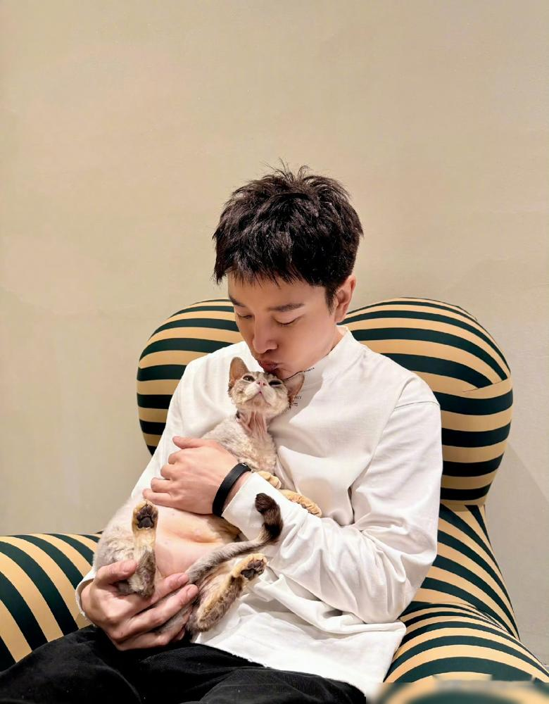 贾乃亮睡醒一看手机，天塌了，网上说他藏了个儿子。10月17日他直接甩出一张图：怀里抱着只猫，配文凭空出来个儿子，就这一个，搁这呢！连甜馨照片都没放，摆明了懒得跟造谣的多费半句口舌。这事的源头，是个匿名博主投稿，说他嫂子的表弟在某个离婚多年、搞直播带货的三字男星团队干过，听说人家有个没公开的儿子。没照