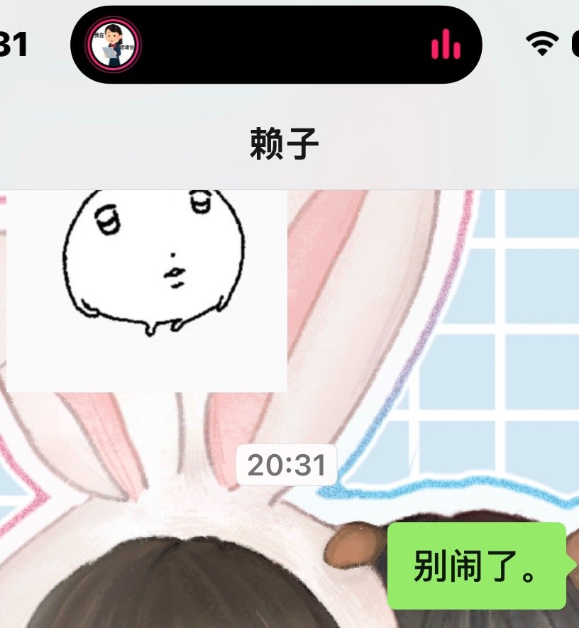 （不出租灵动岛截图） ​