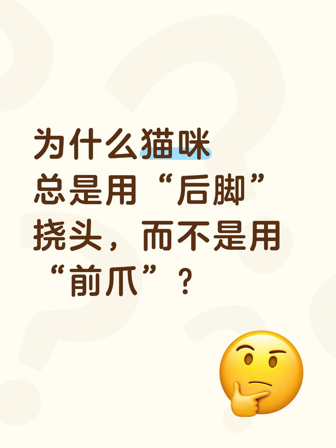 为什么猫咪总是用“后脚”挠头，而不是用“前爪”？