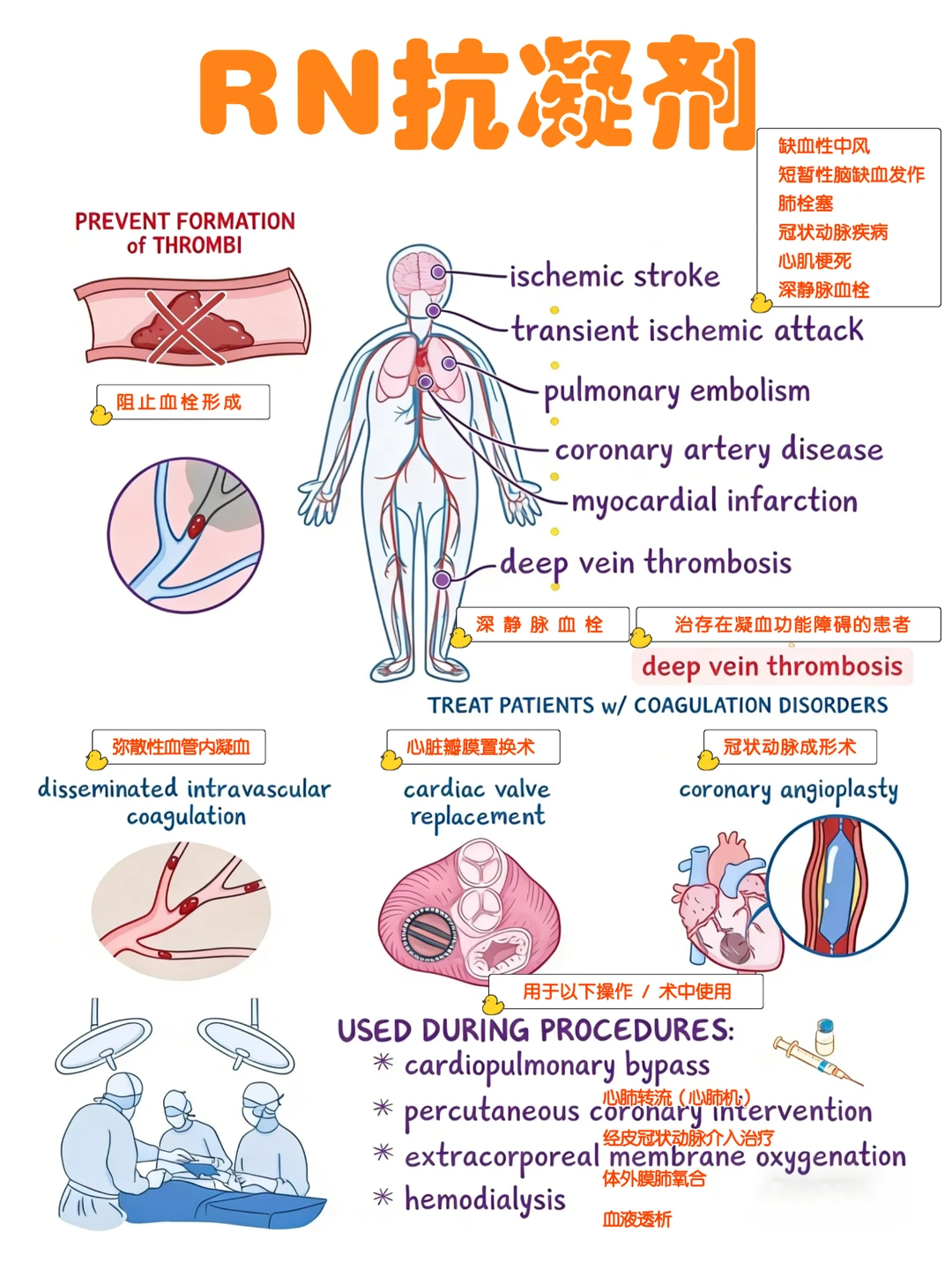 备考RN/抗凝剂！！学！！内容