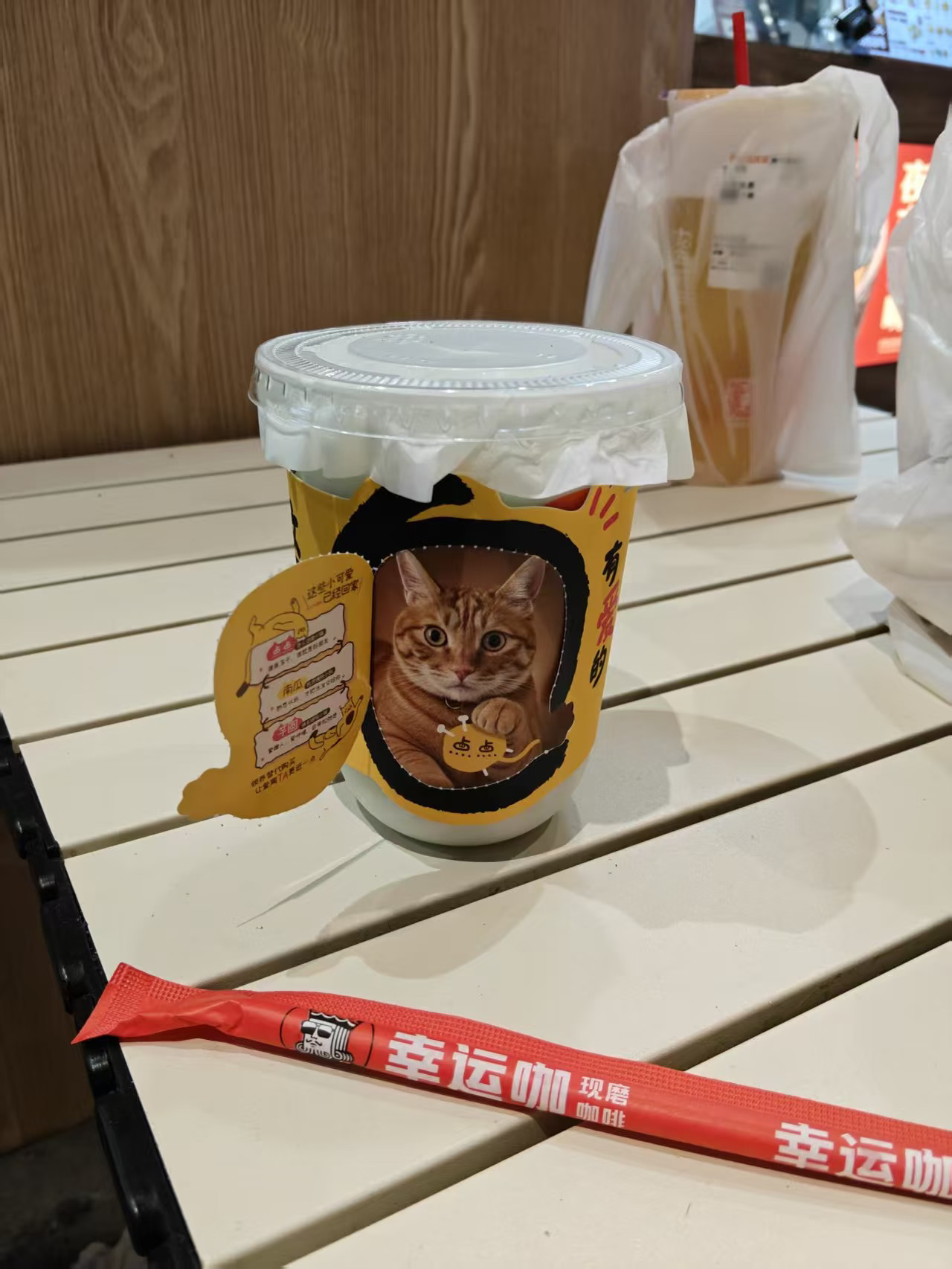 希望小动物都能找到自己的避风港