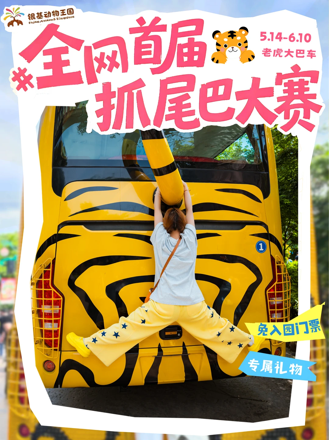 老虎尾巴摸不得？银基首届抓尾巴大赛来了！