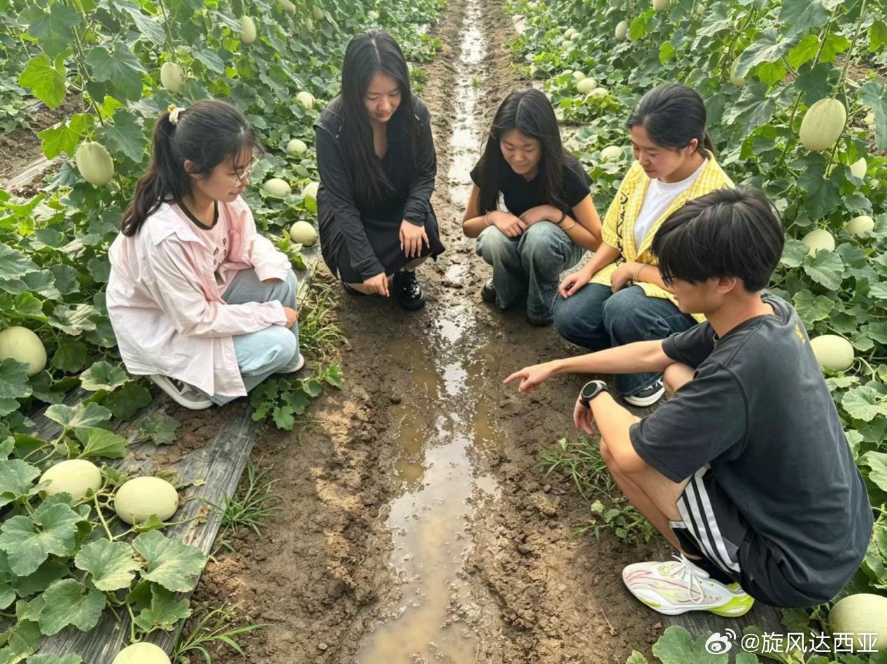 曲阜师范大学乡村振兴，产业为基。顺应国家乡村振兴政策东风，曲阜师范大学...