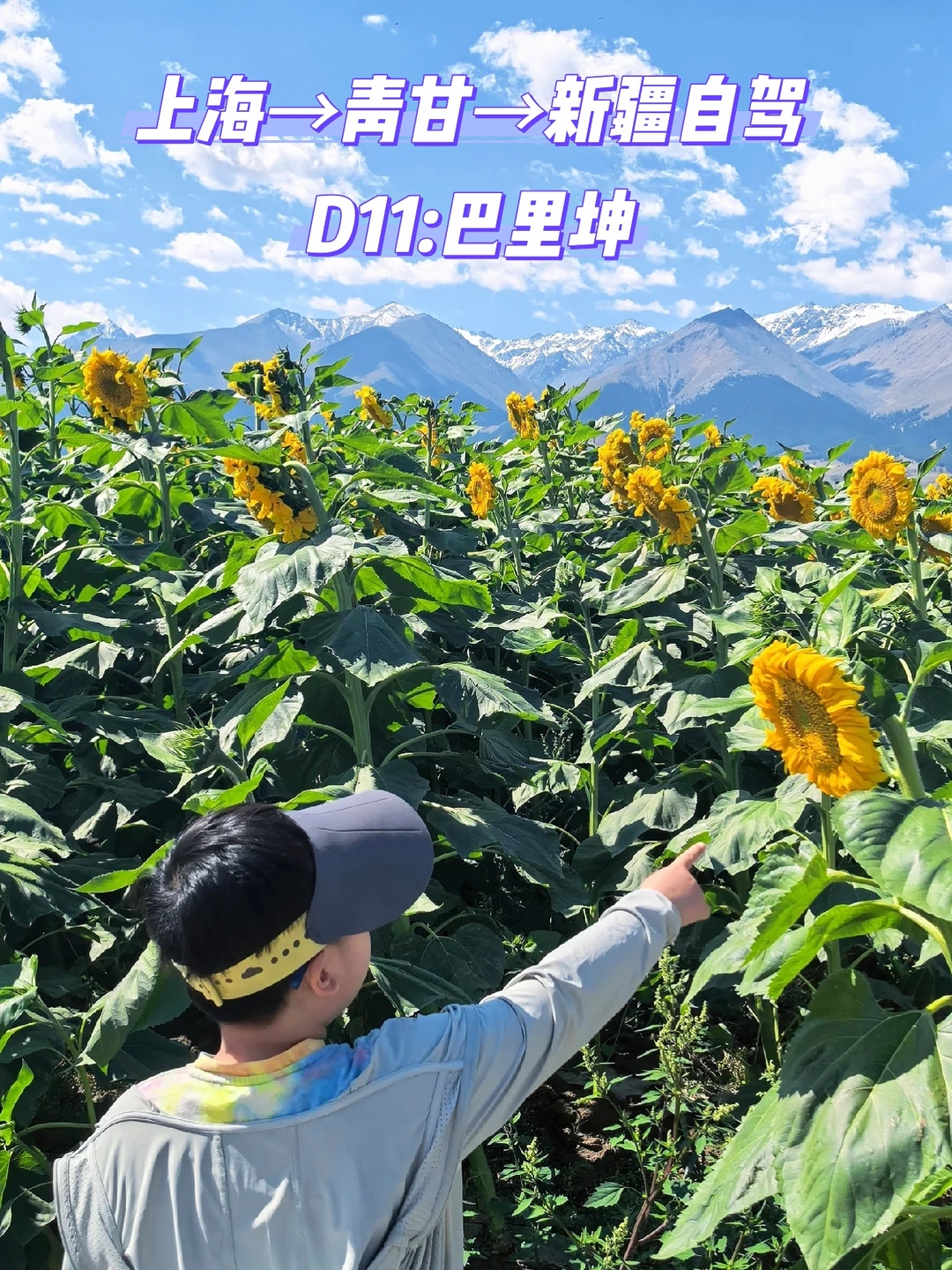 上海→青甘→新疆自驾D11:巴里坤(花海坐标)