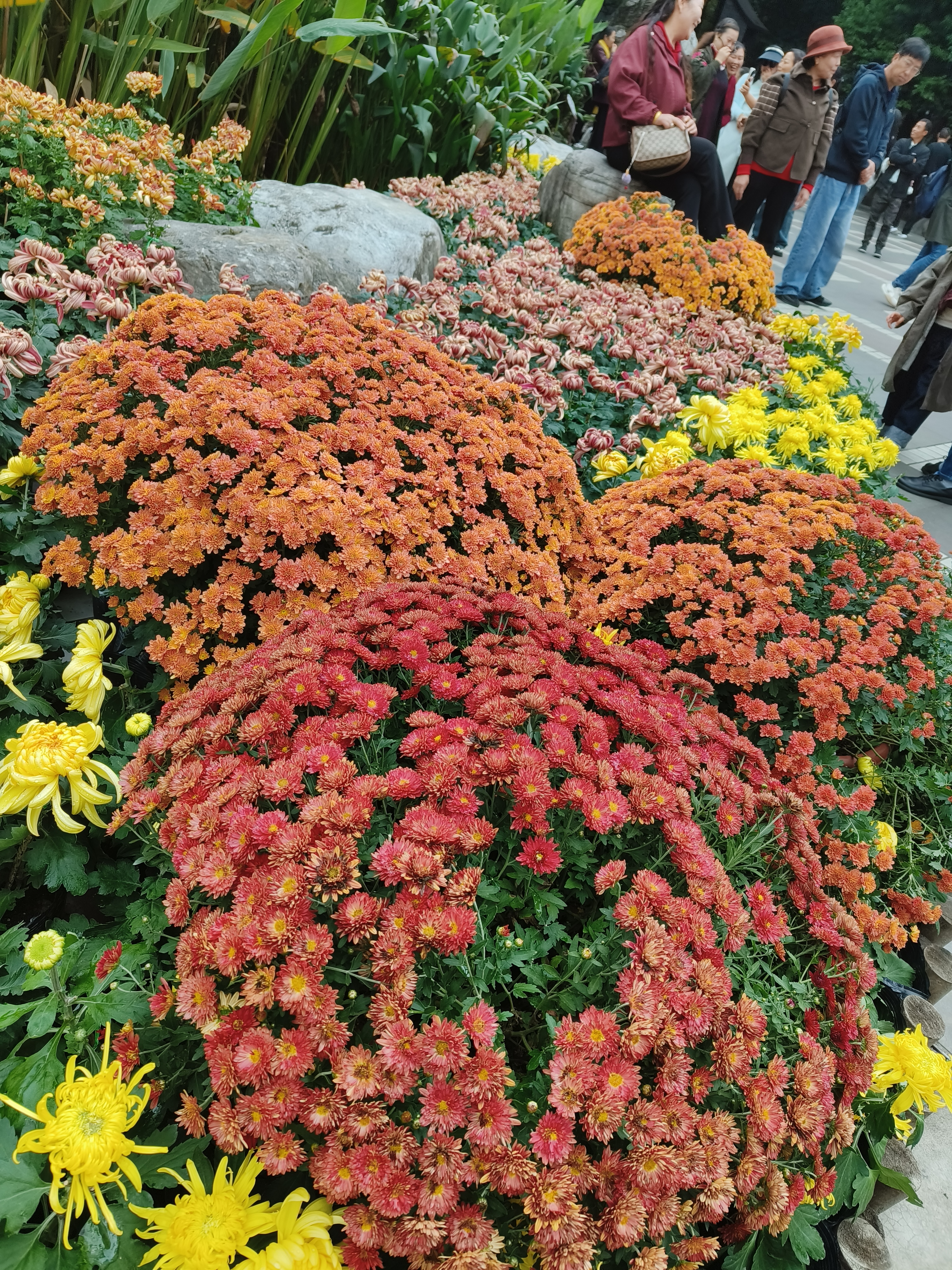 二婚家庭一样过得幸福