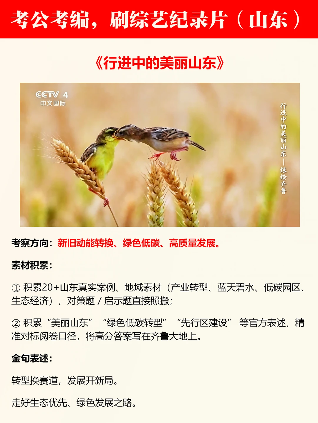 山东考生，强刷综艺纪录片（21个）