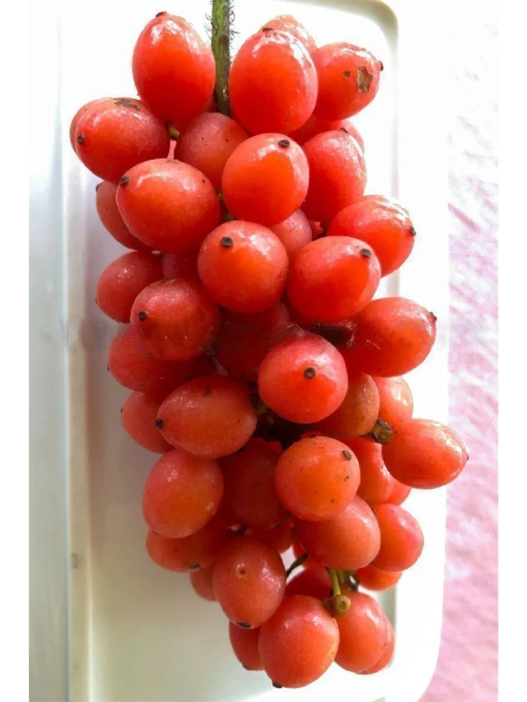 世界上最甜的浆果--非洲薯蓣