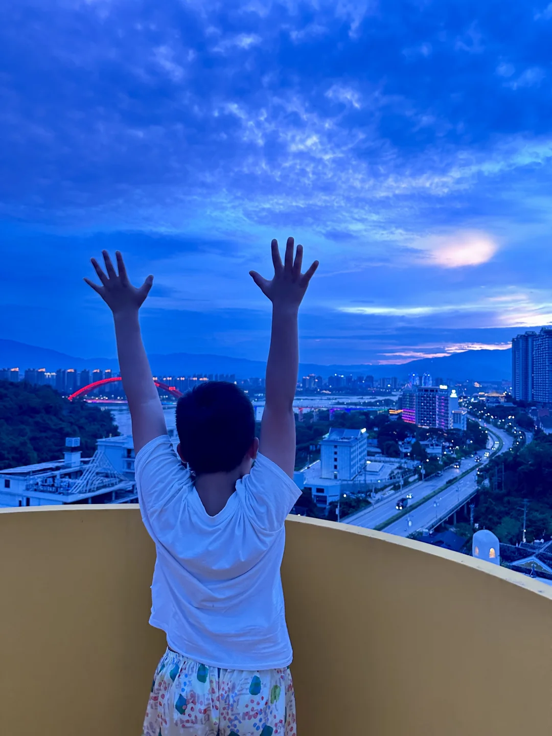 刚从西双版纳回来，没想到这么美