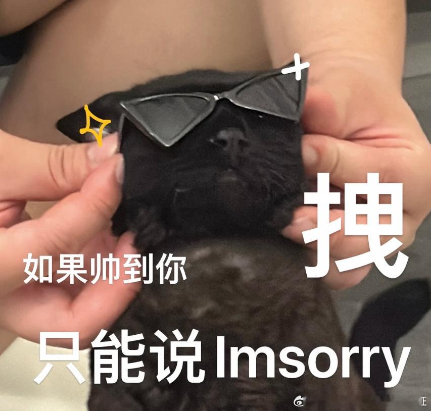 舒女士空单暴力收割160点利润，减仓后获利8100美金收益[赞啊]

我的投资理念是首先要确保本金安全，其次才是在保值基础上的增值，但市场又是变化万千、捉摸不定的。这就存在两个问题：一是为了降低风险，我们并不能实现盈利的最大化；二是由于市场的不确定性，必然在某个阶段上出现损失。对于行情的拿 ​
