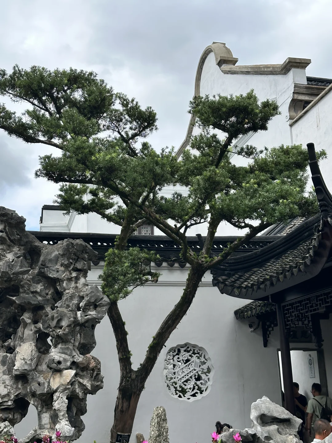 苏州姑苏｜狮子林