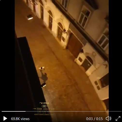維也納發生恐襲! 槍手在猶太教堂附近開火, 有消息稱已致7人死亡-圖2