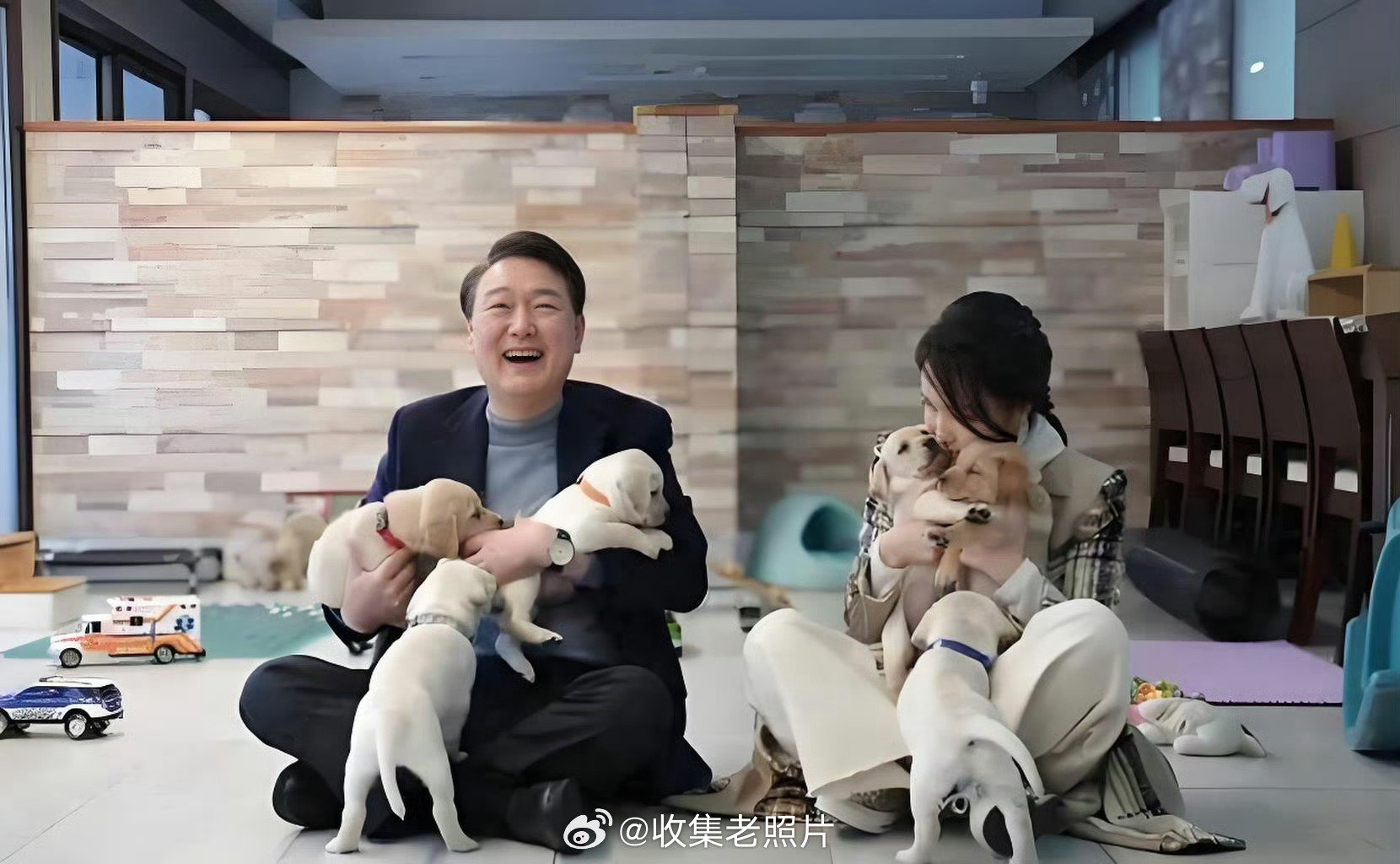 韩国前总统是“丁克”，家里养一堆猫猫狗狗。
然后他质疑韩国人，为啥不多生孩子？[二哈] ​