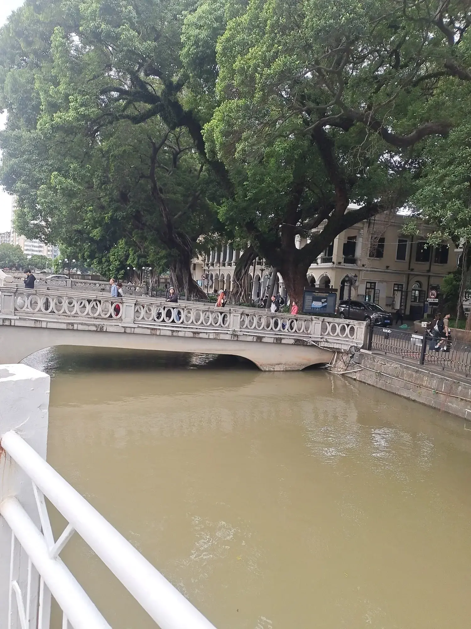 这是深秋的广州白云区，郁郁葱葱的树木有点泛黄，南方的秋天还是那样清爽怡...