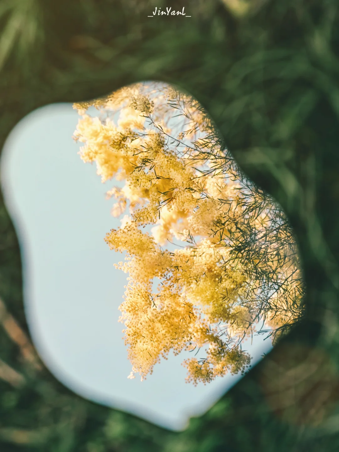 春天的影像诗｜把春天装进镜子🪞浪漫翻倍🌱