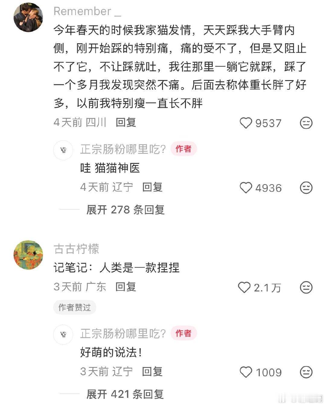 人类是一款捏捏。 ​