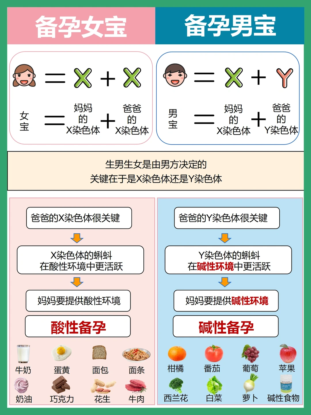 夫妻备孕超全攻略🔥想要怀孕的姐妹看