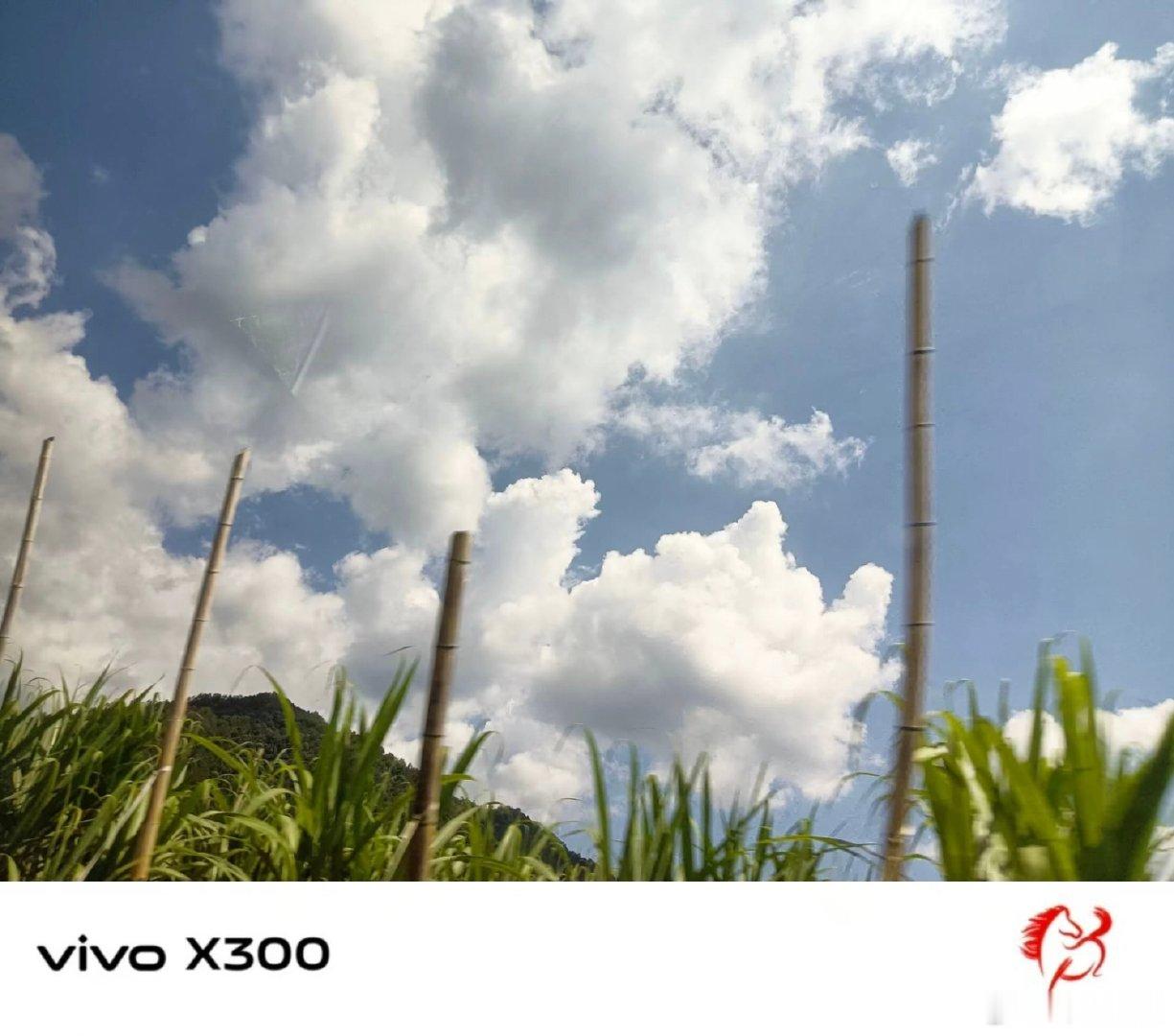 #vivo[超话]##vivo超话# 抬头撞见满天空蓬松的白云，田边的竹竿静静立着，山野的夏天真的太治愈了。 ​