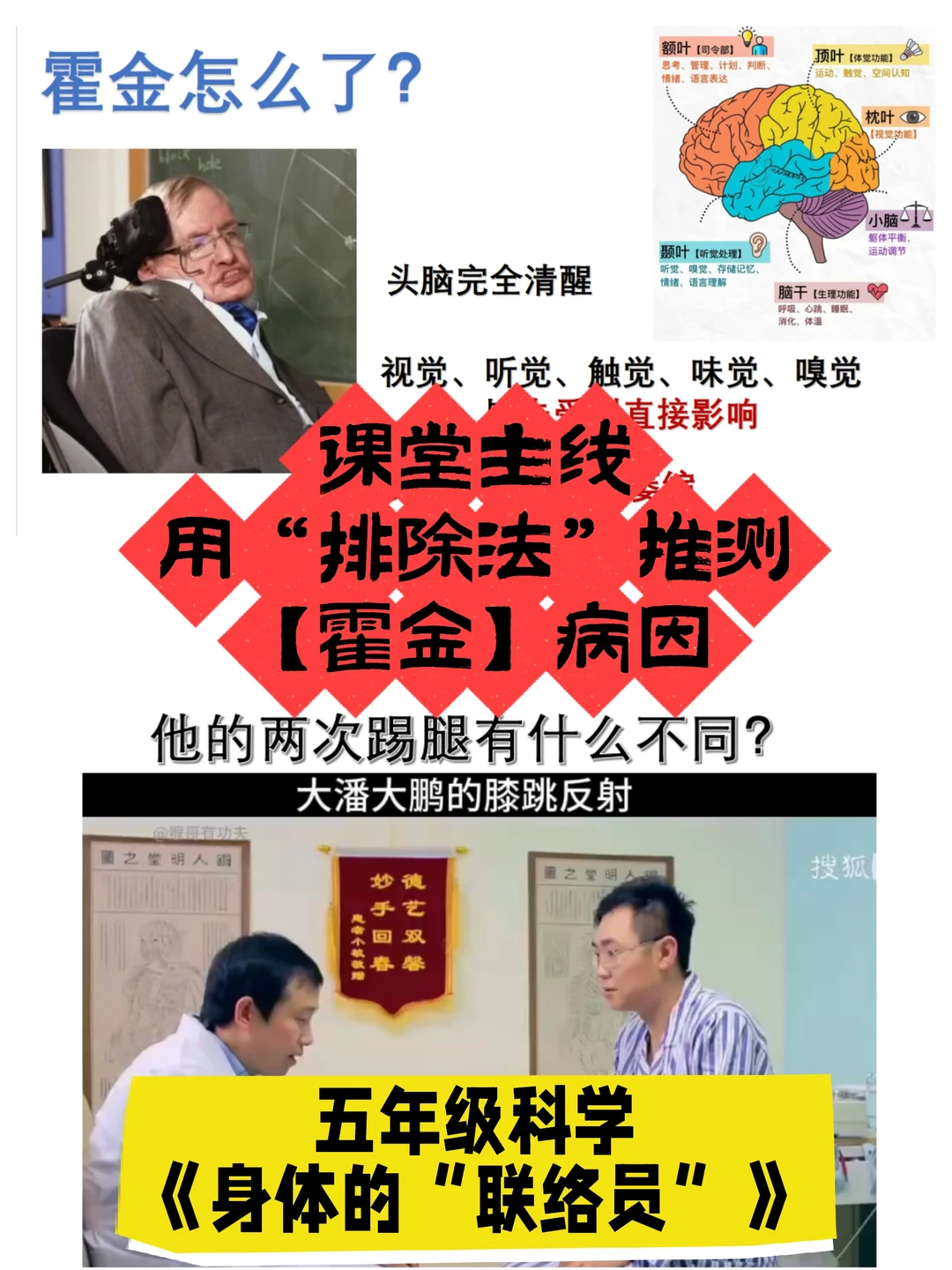 用【膝跳反射】辅助推测【霍金怎么了】！