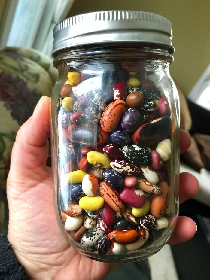 五彩缤纷的豆子