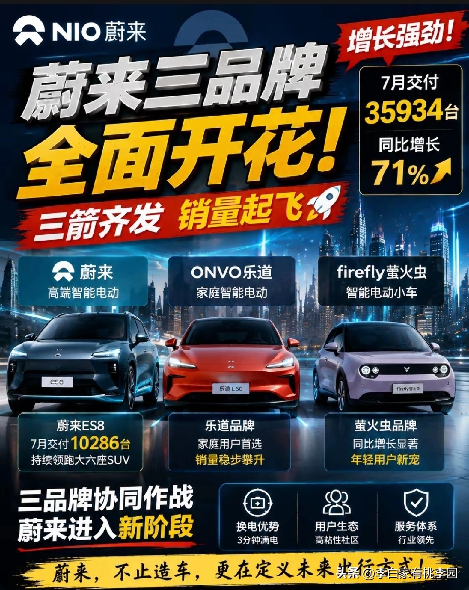 蔚来一口气
铺三个品牌，目标很明确：
守住高端底盘，向下抢市场
如何看待蔚来布局三个品牌
 蔚来主打高端，乐道冲中端，萤火虫切入入门价位，共用换电、智能技术，摊薄研发成本。
 但风险也很现实：多品牌运营烧钱，一旦把控不好，很容易稀释蔚来原本高端口碑。
 新能源厮杀白热化，单品牌增长已经摸到天花板