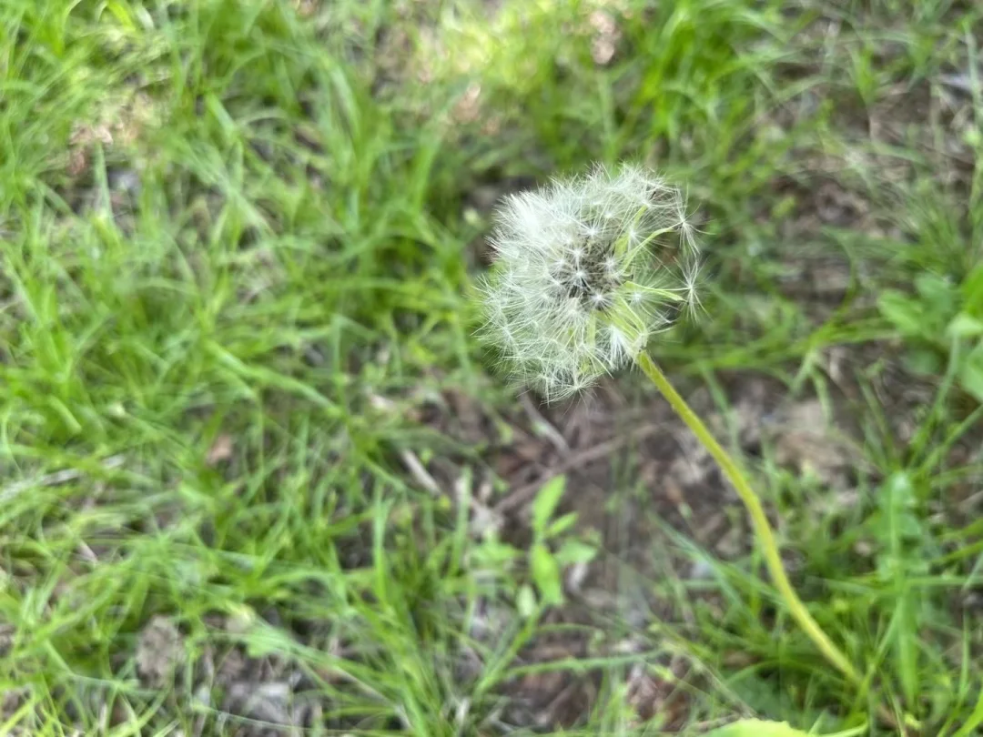 体制内：结构化面试必背真题