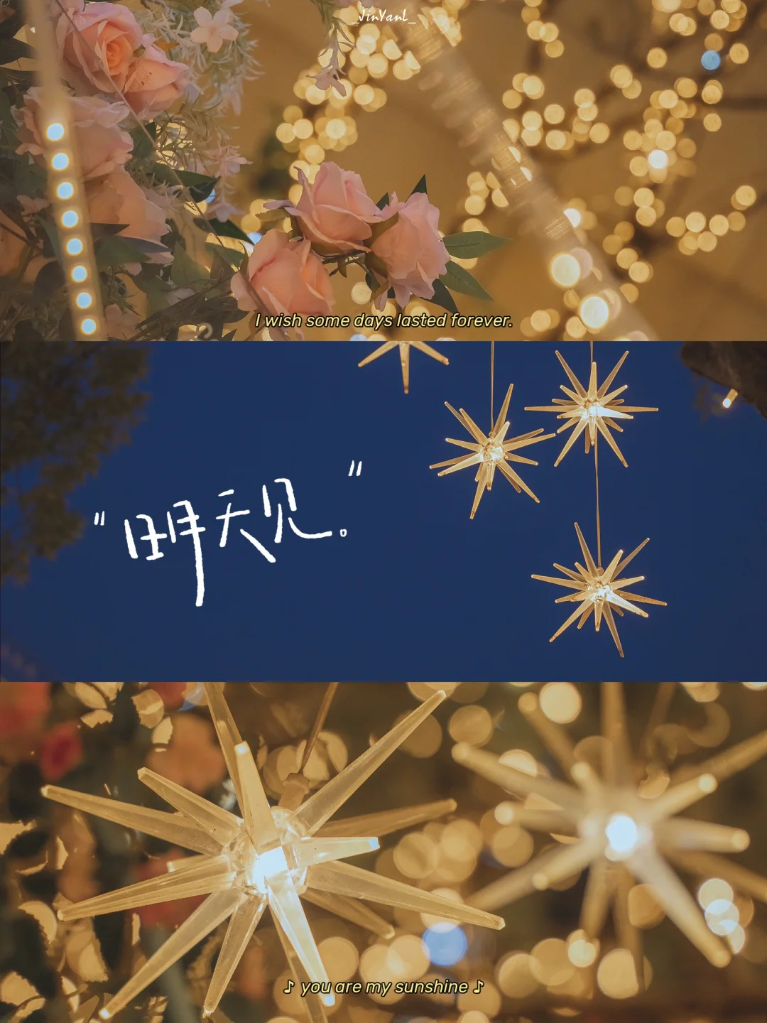 杭州我劝你别太浪漫了‼️星光花海谁能拒绝啊