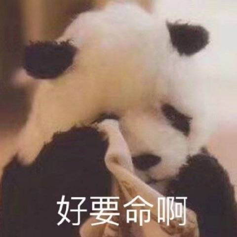 嗑一口不过分叭
