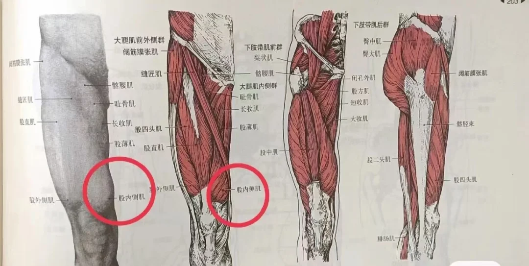 膝盖内侧鼓包原因