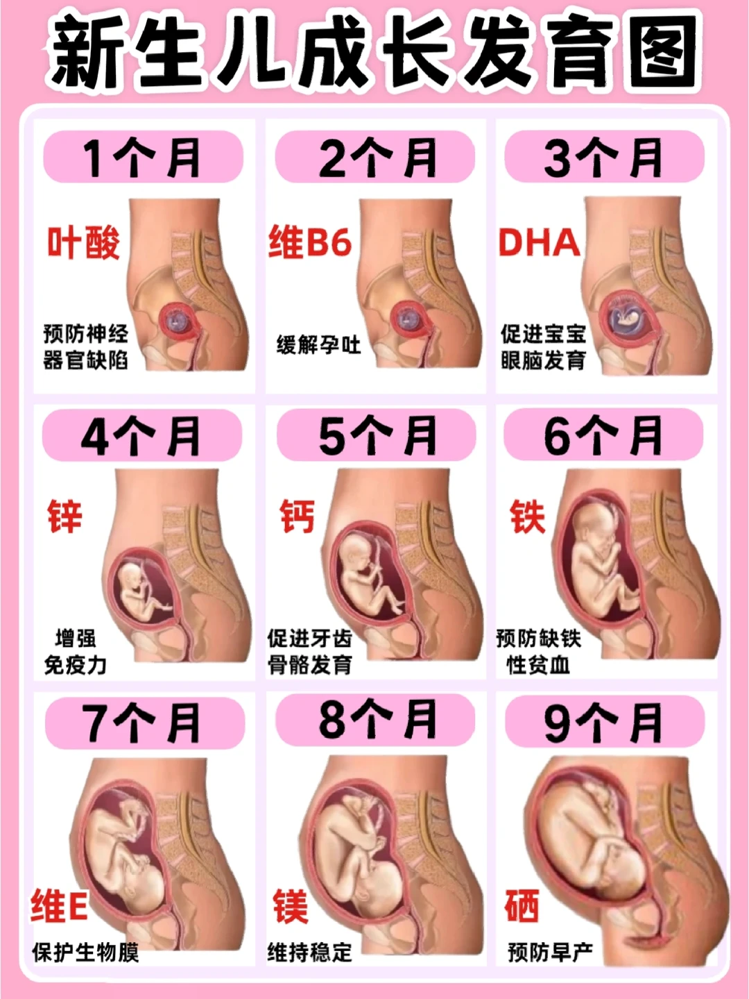 ✔0-12月宝宝发育规律！新生儿护理知识