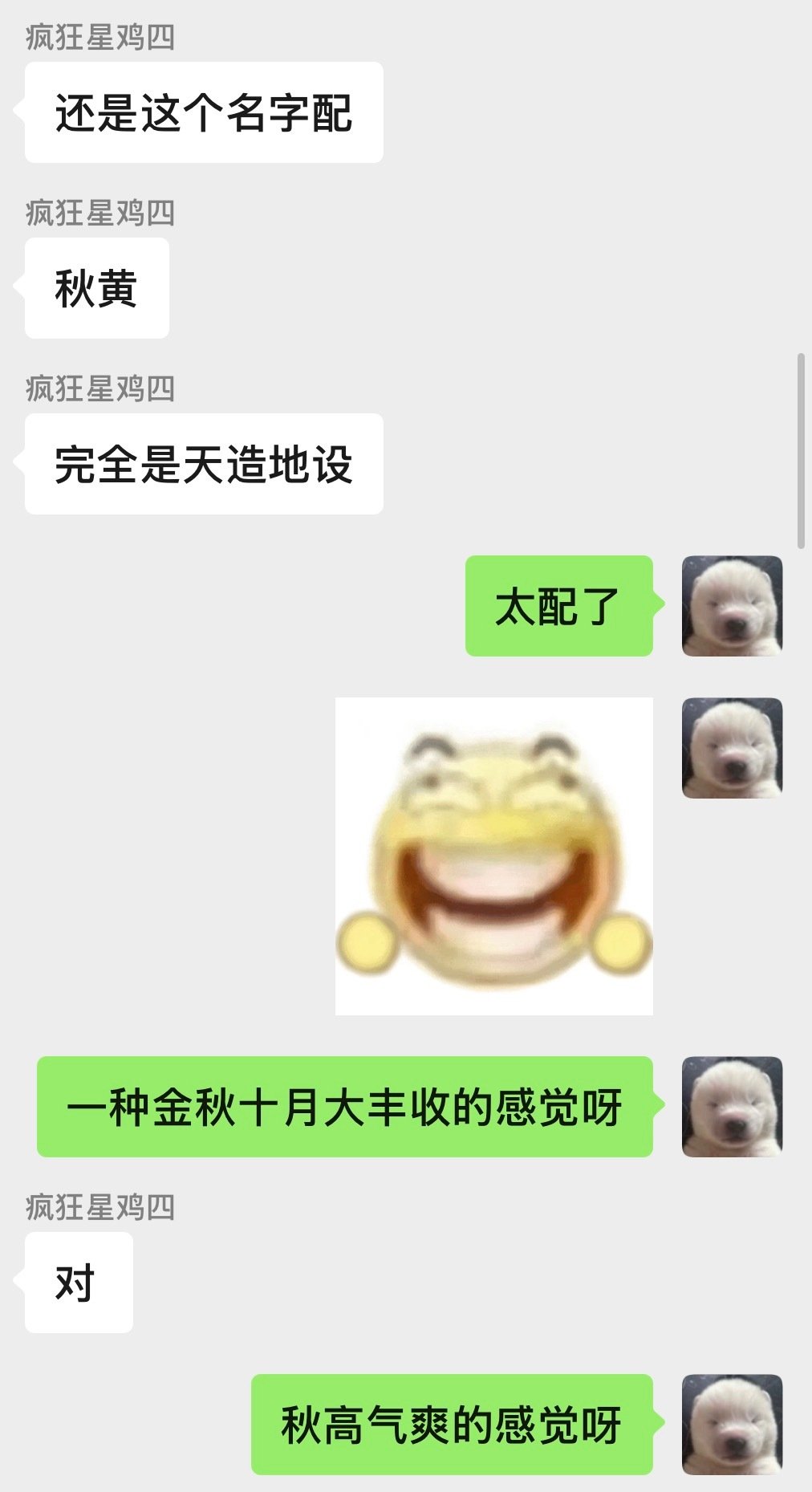 眼一睁又给我磕美了 ​