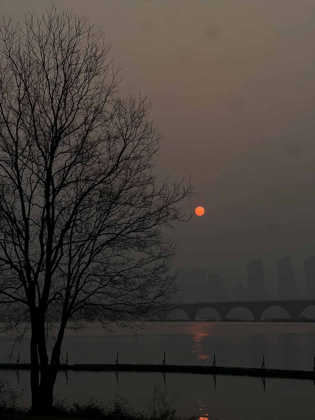 晨跑的第9年，你跑步几年了