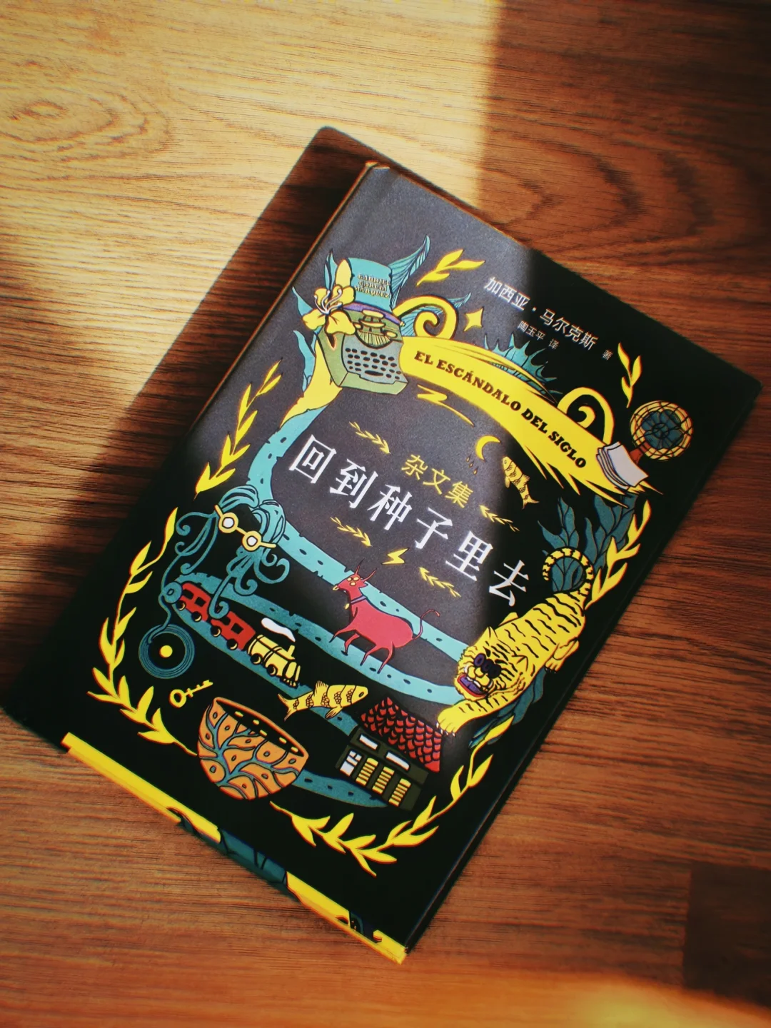 ⚠️不要把《百年孤独》当成马尔克斯的全部