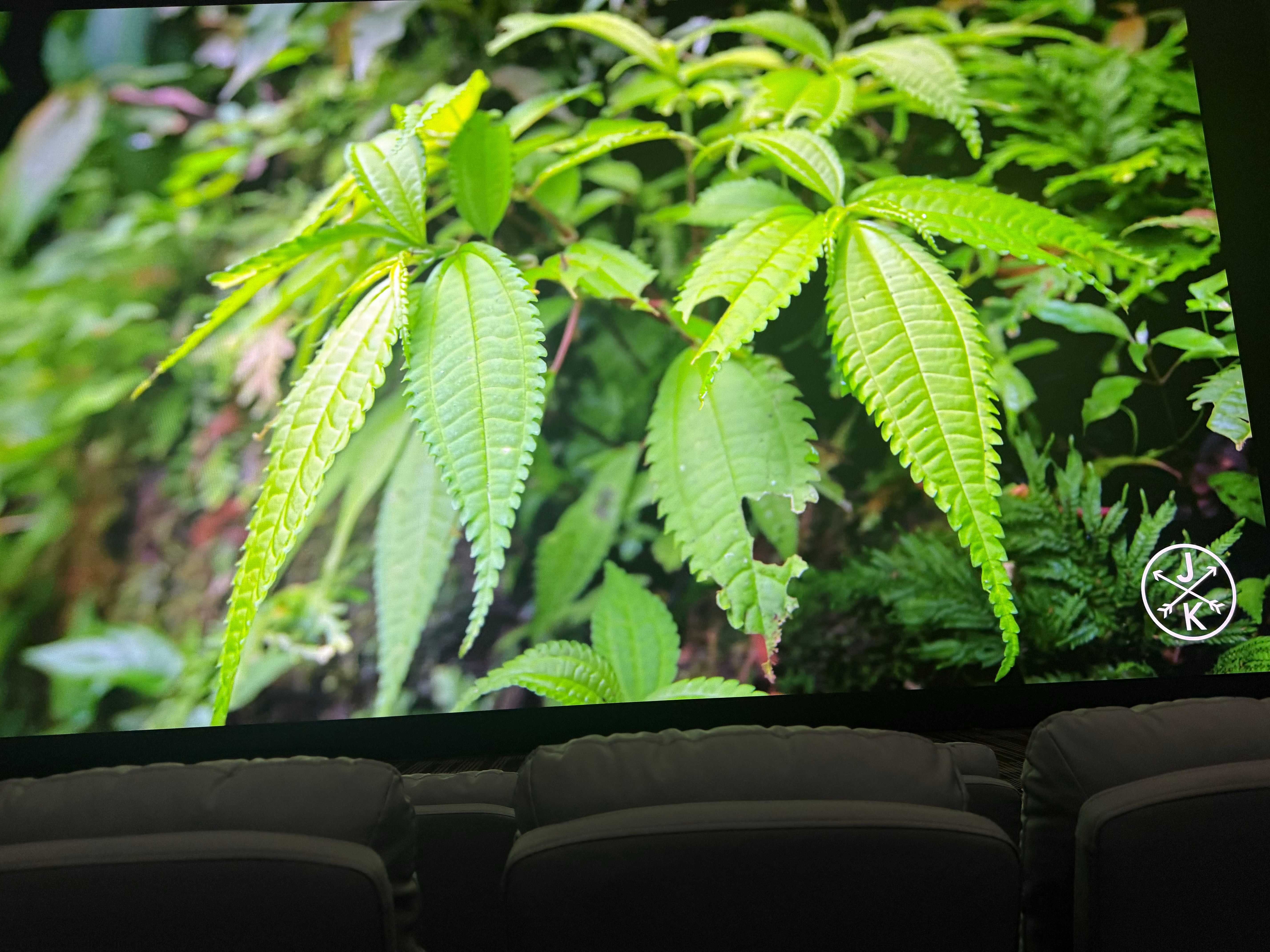 下随便选了个影院看生化危机竟然选到了一家新开的影院，20米长的4k透声屏爽完了。
剧情不像前面生化系列是纯爽，全部男主一个人的战斗，最后的反高潮结局给人看憋屈完了，不过突脸杀和血腥画面比上个系列多。
游戏彩蛋我只看出来了狗和大胖子。
感觉只要是生化这题材的啥剧情我都喜欢看。
 ​