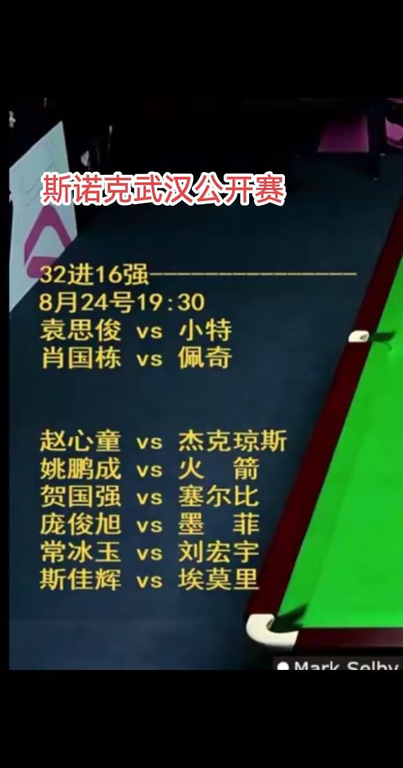 斯诺克武汉公开赛
