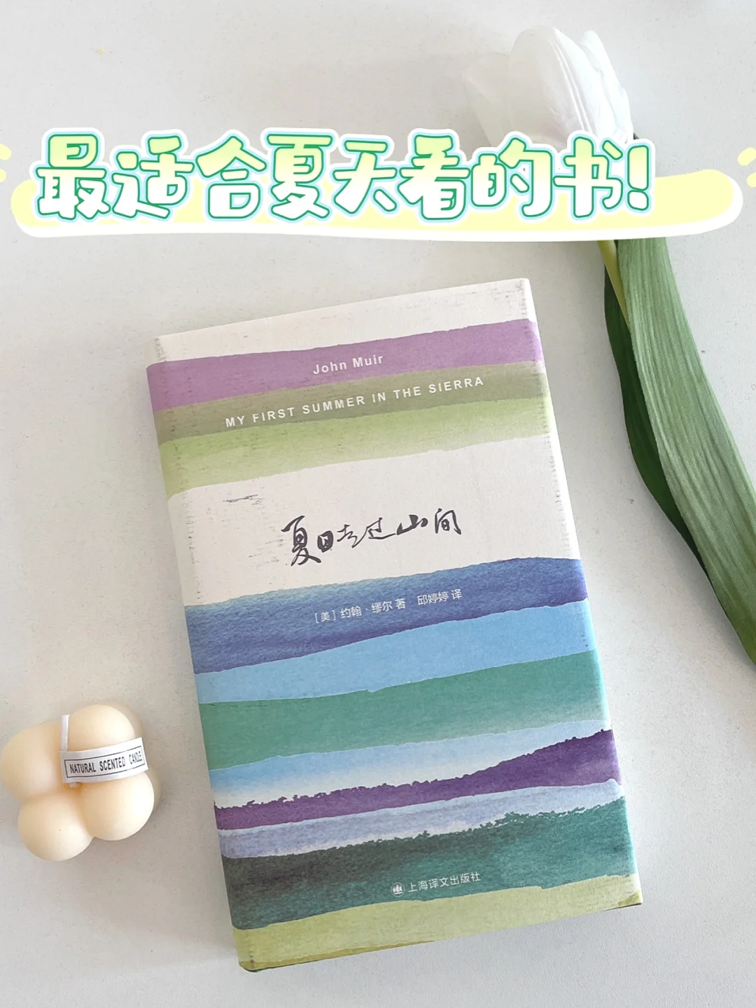 豆瓣8.8丨一到夏天，朋友圈就被这本书刷屏..
