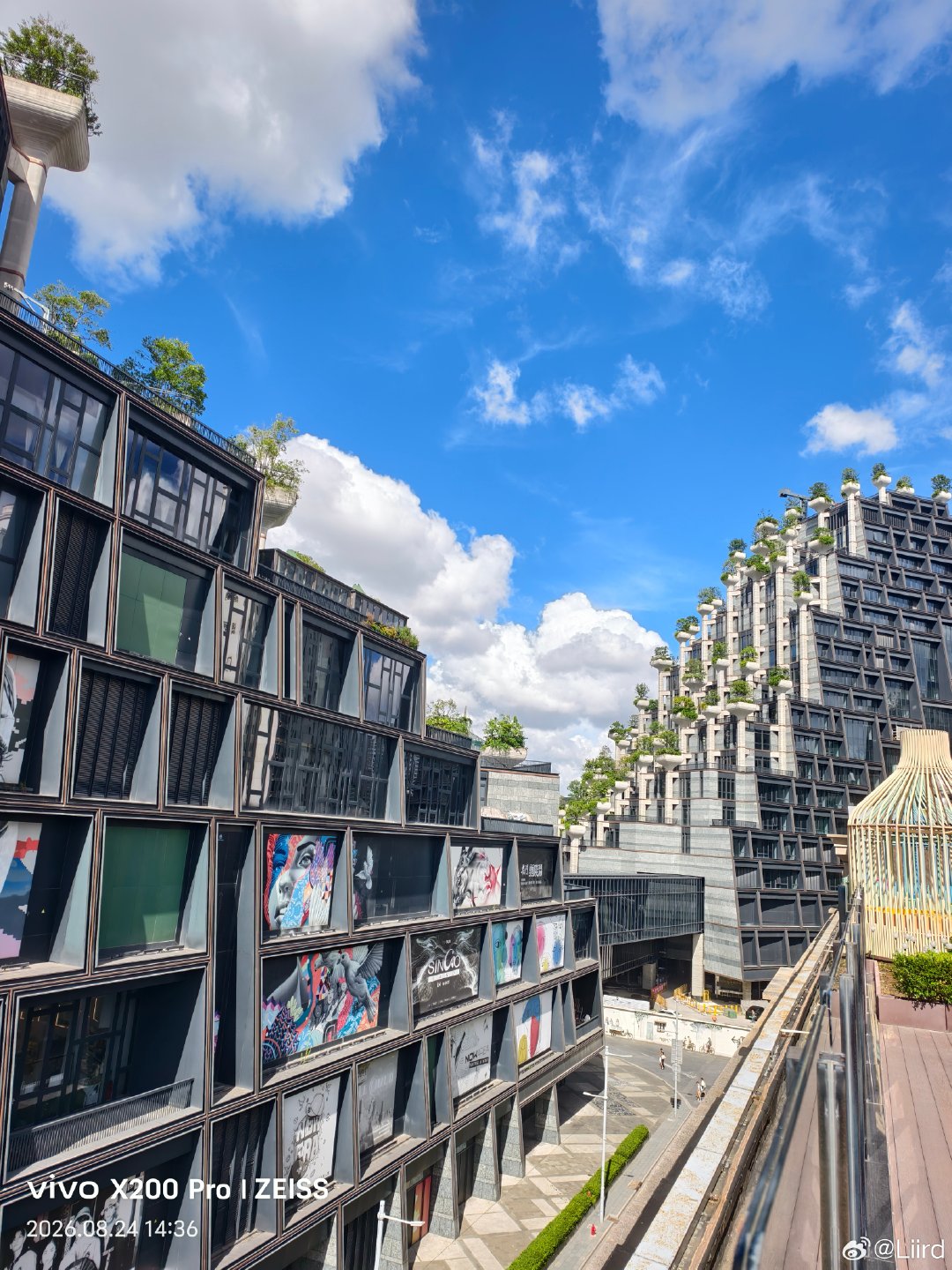 谁知道在房顶居然还有这么一片好风景  ​