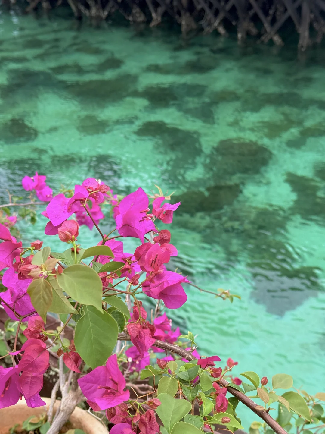 马来小记🌊（2）