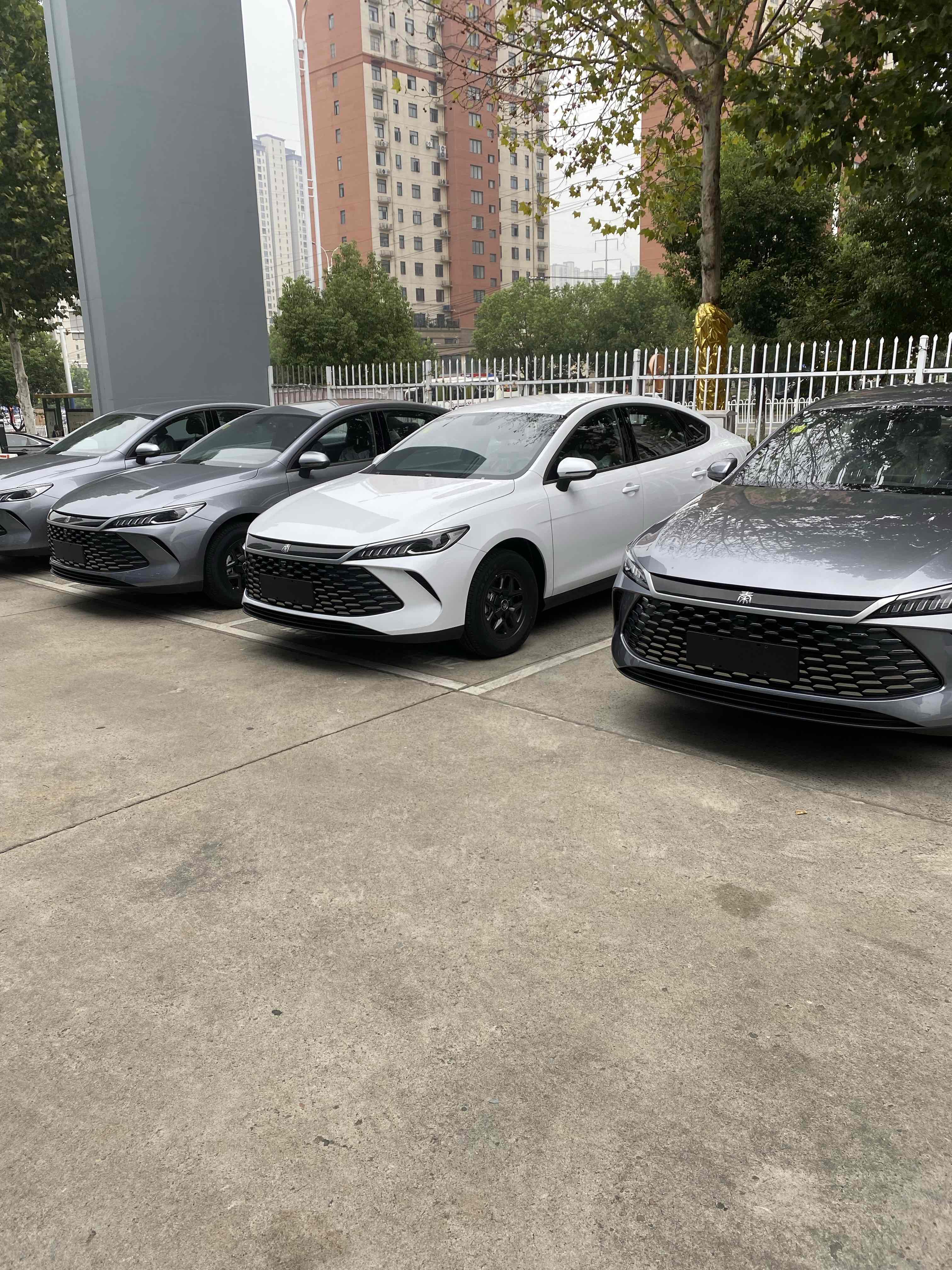比亚迪秦L EV

比亚迪秦L EV，e平台3.0 Evo架构打造的中型纯电家轿，龙颜美学溜背造型，线条流畅动感，颜值一眼心动。全系后置后驱，搭配前双球头麦弗逊+后五连杆独立悬架，操控扎实，驾乘舒适。提供470km/545km两种CLTC续航版本，搭载刀片电池，快充半小时即可从30%充至80%，日常
