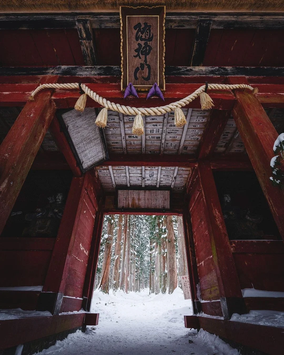日本长野县|户隐神社，秘境般的存在