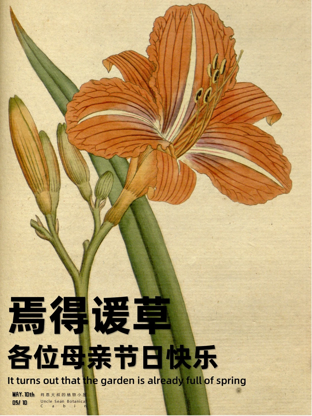 为什么古人用忘忧的萱草来送给母亲